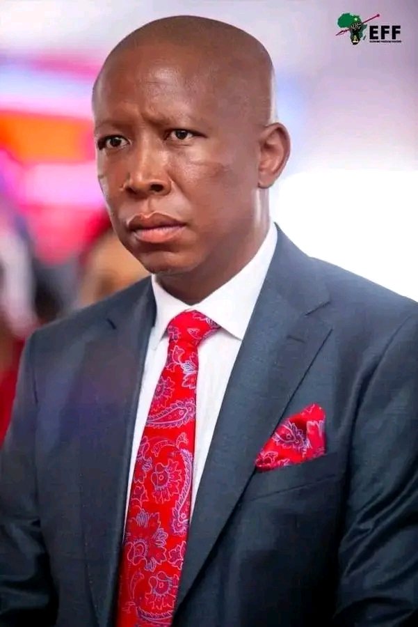 Vladimir tweet media