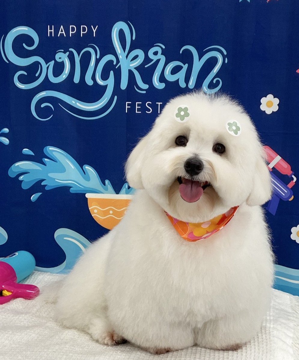 Kaosupassara tweet media