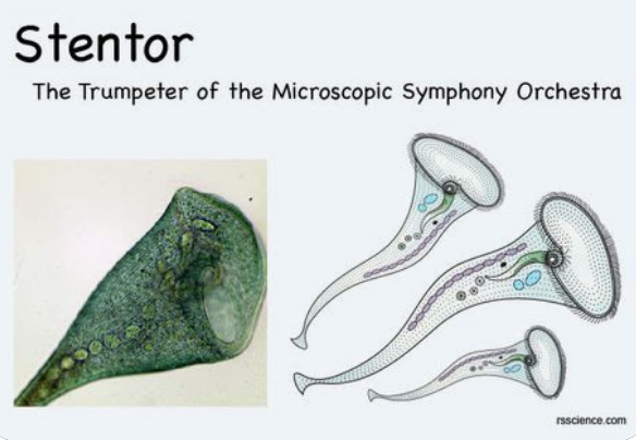 Dusty Bumps tweet media