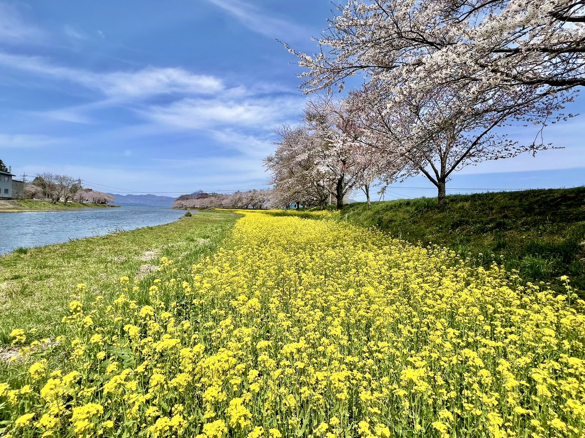 ほろ酔い、福島🍶 tweet media