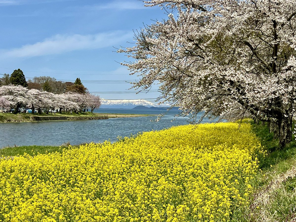ほろ酔い、福島🍶 tweet media