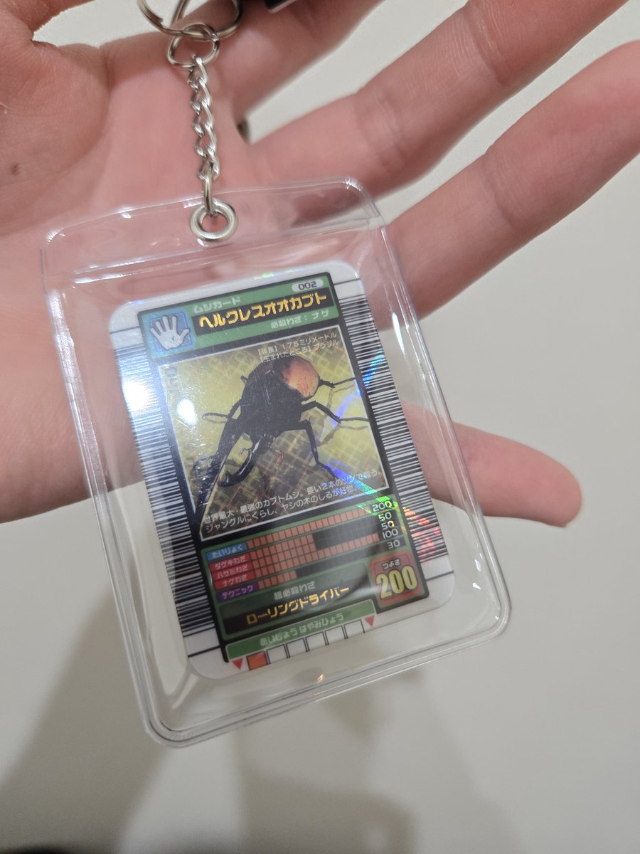 カイト(れき) tweet media