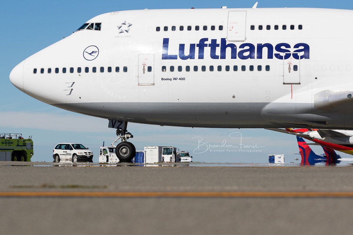 airwaysmagazine's tweet image. Lufthansa's Boeing 747-400 at Seattle-Tacoma International Airport

📸: @BDFphotography /Airways

#Aviation #LH #Boeing #Queen
