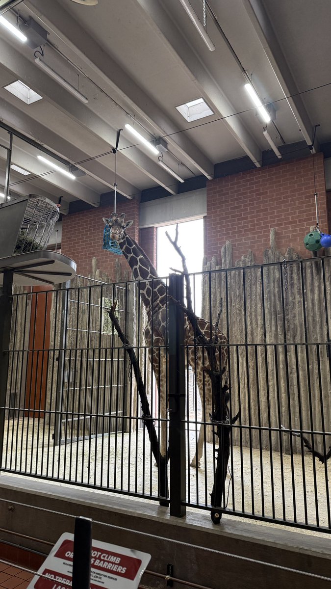 JUSTB_member tweet media