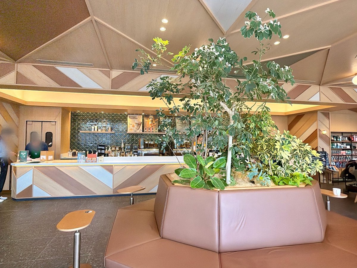 merciiistar's tweet image. すごい！！！外観も内装も素敵✨横浜で一番おしゃれな店舗かも🥹🫧中央にシンボルツリーがあってオアシスって感じ🌳駅から遠くてバスで来たけれど来て良かった♡

横浜荏田西店 #starbucks

◇ THE フラペチーノ® of 加賀棒ほうじ茶

3種類目✌︎ わらび餅ぷるぷる！

#マイストアパスポート