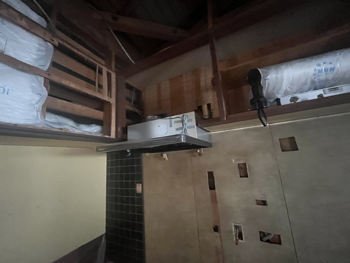 さかな tweet media