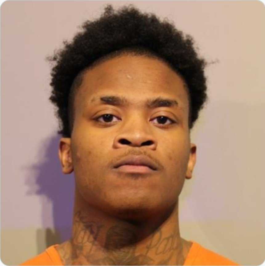 Houston Heifer Out On The Loose tweet media