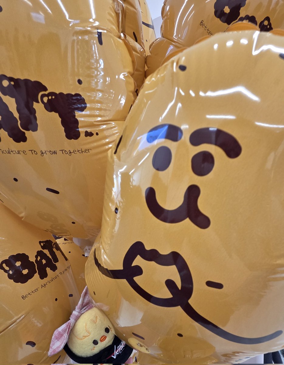 copo（こぽ）♡(•ө•)♡ tweet media