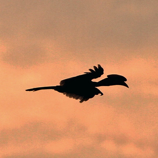 Mr Bovery tweet media