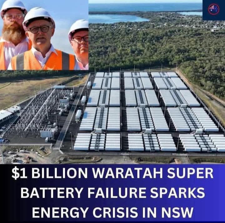 Australian Patriot. tweet media