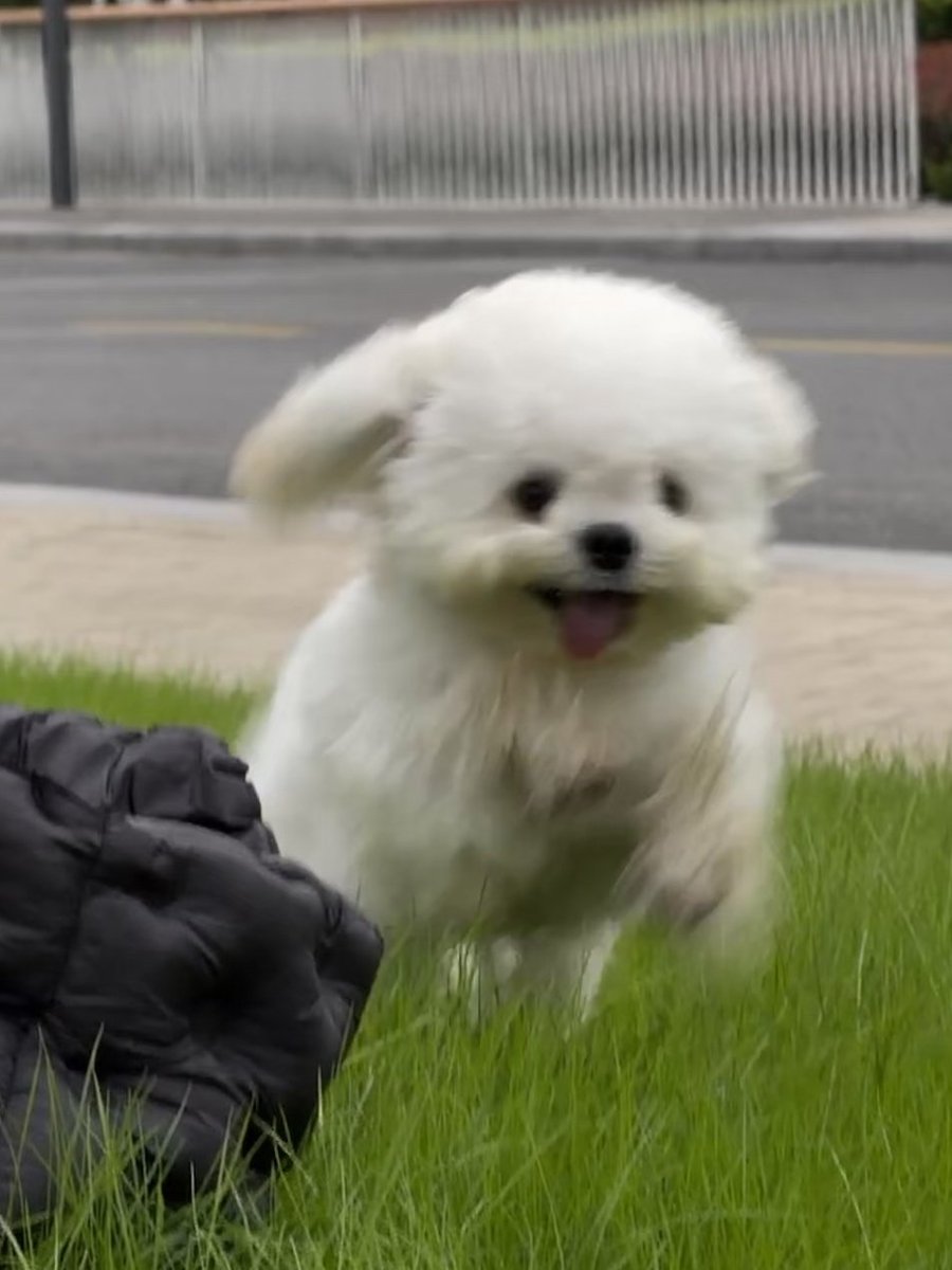 yan13𓅛 tweet media