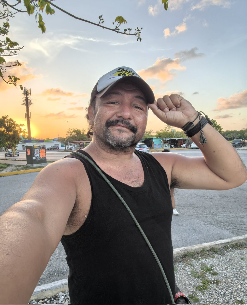 Lobo de Lua tweet media