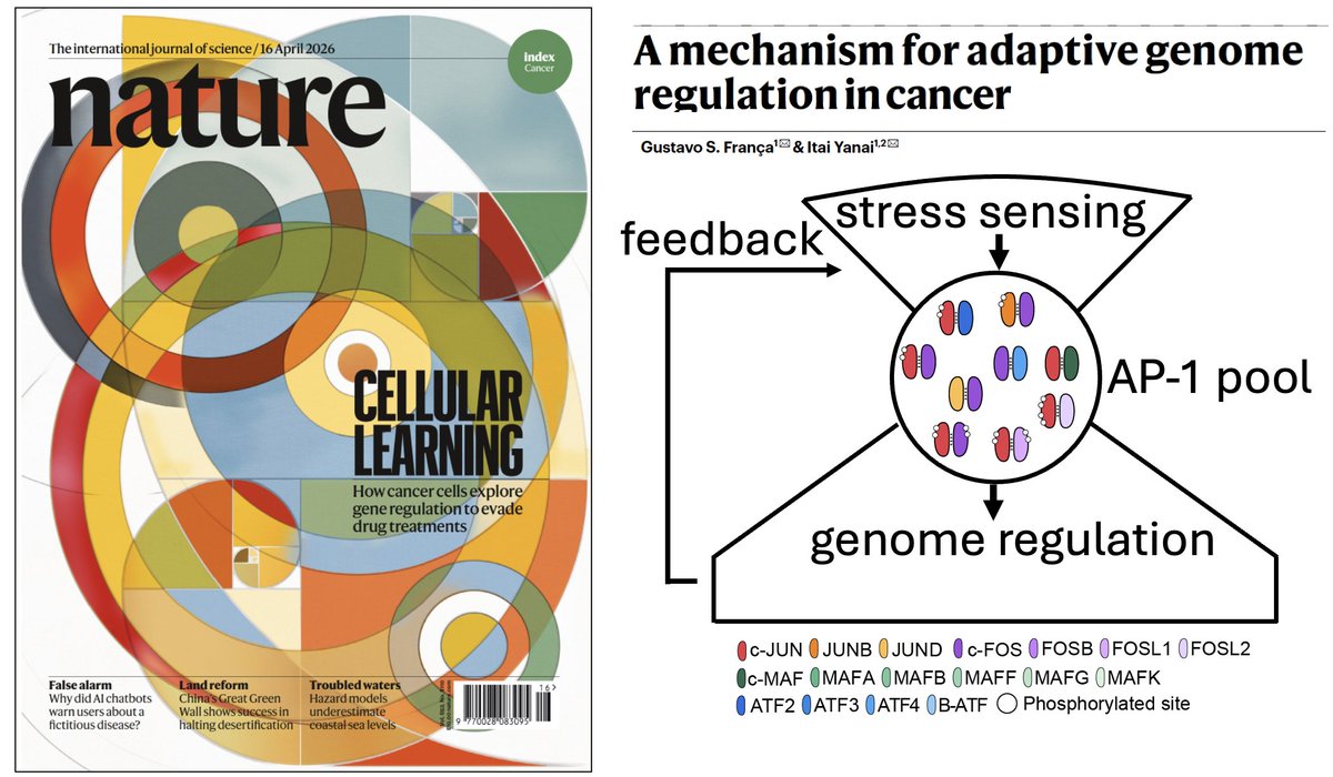 Itai Yanai tweet media