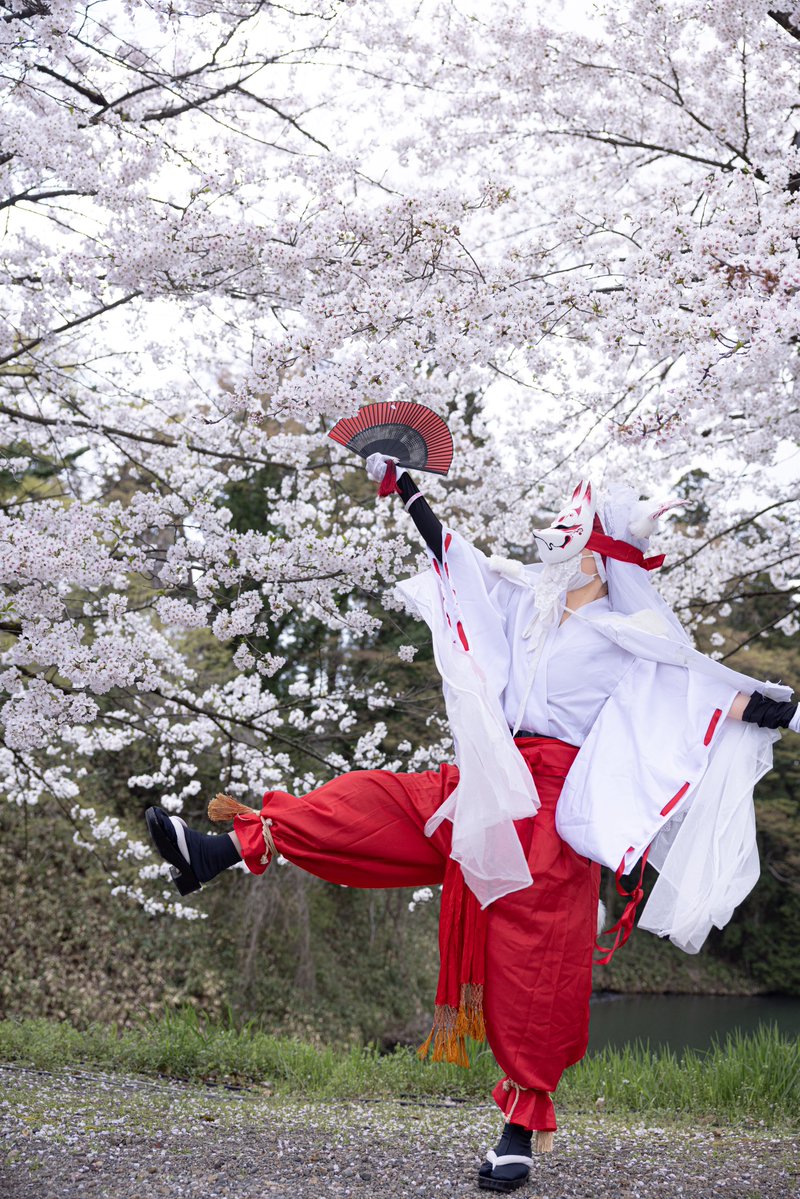 コン太「よっ！♫ はい！！♪

　　　　　桜さん達満開だぁ〜！！♪」

#會津白狐伝説