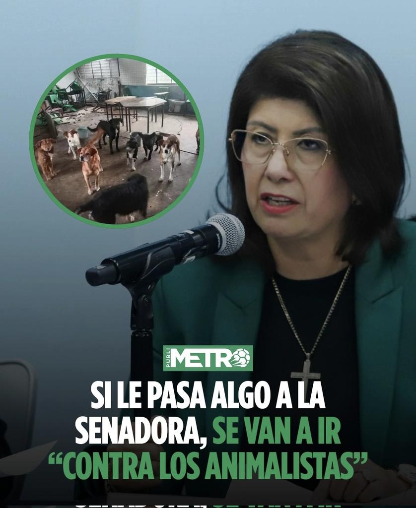 Fundación Toby tweet media