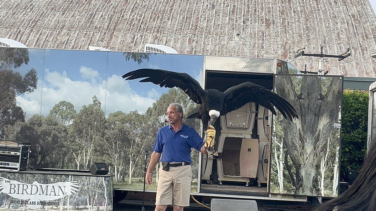 rey ⊬ᛑᛗᛛ tweet media