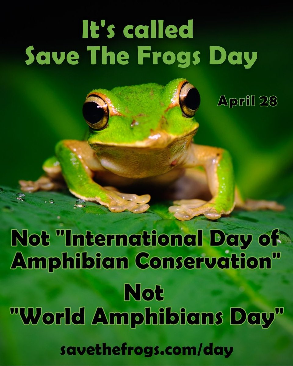 SAVE THE FROGS! tweet media
