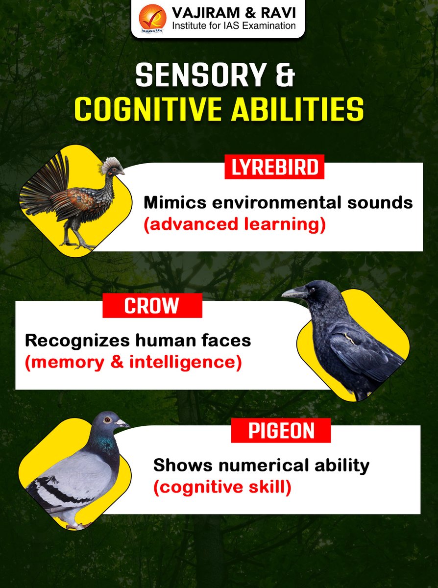 VajiramRavi's tweet image. A bird that recognises faces.
One that sleeps mid-air.
One that’s poisonous.

UPSC won’t ask facts — it’ll test classification.

Are you ready?

#UPSC #PrelimsPrep #Environment #Biology #MCQs