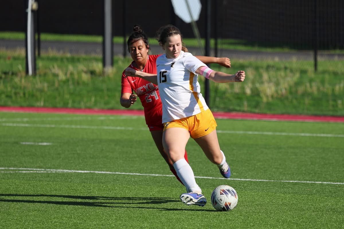 Danuser Photography tweet media