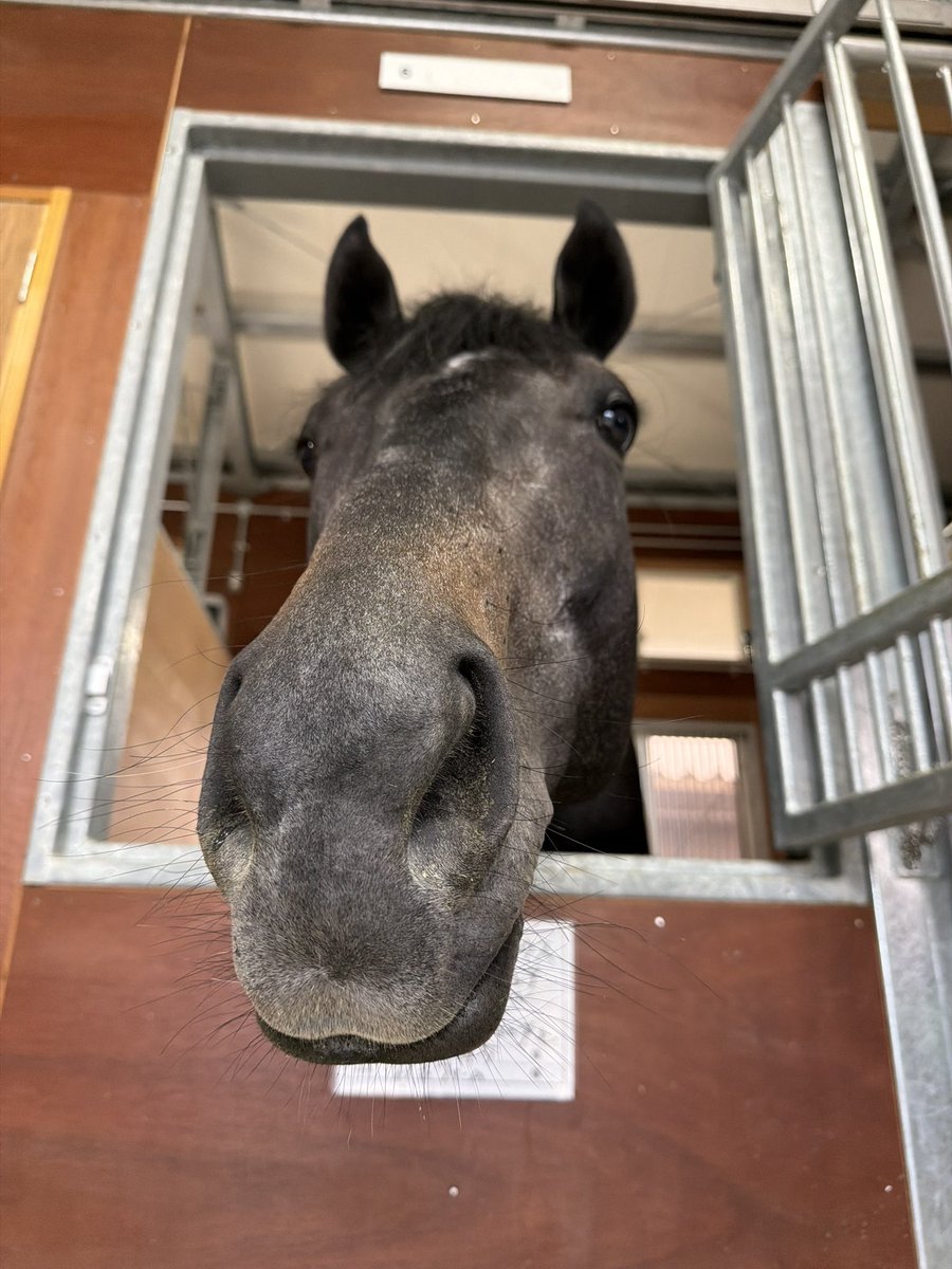 YOSUKE IMAFUKU tweet media