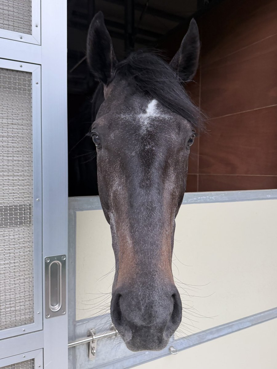 YOSUKE IMAFUKU tweet media