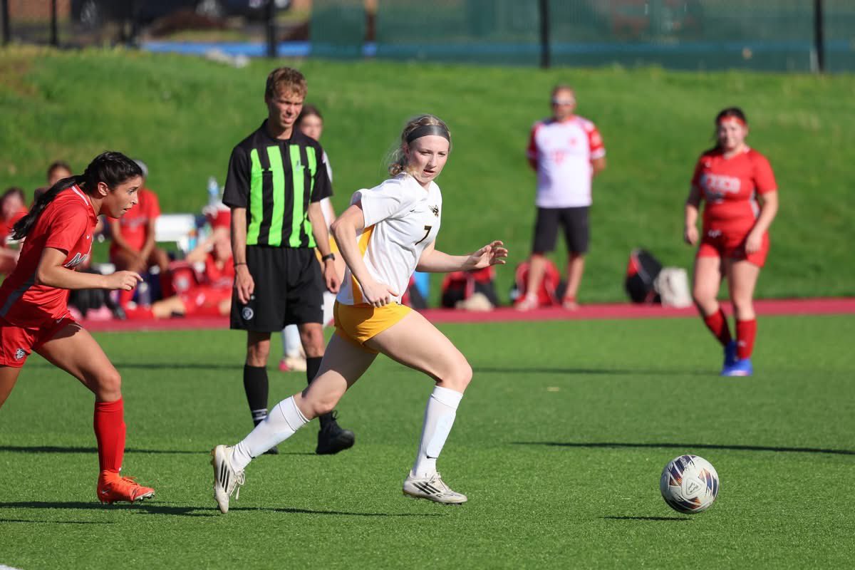 Danuser Photography tweet media