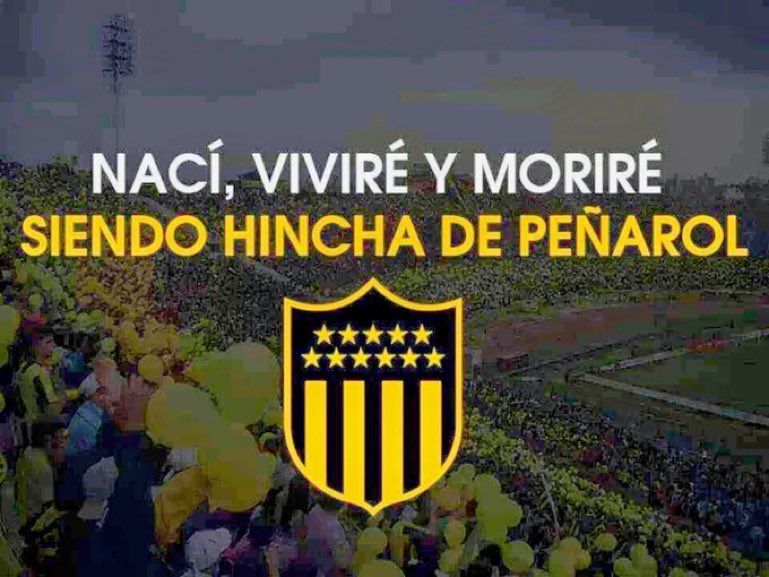 Pata Manya🖤💛#130 (@patriciaanotaro) on Twitter photo 