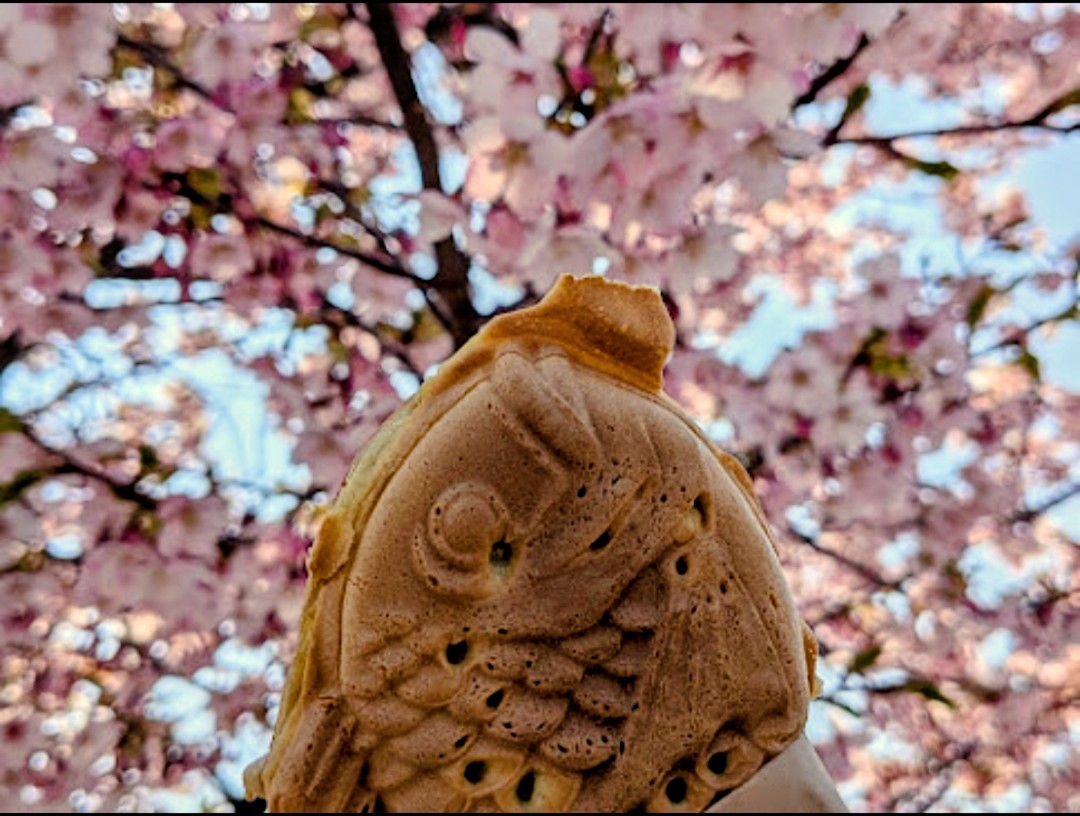 どど🤠👓🎙˚*.꒰ナジョ会 ꒱.*˚🌈🐶 tweet media