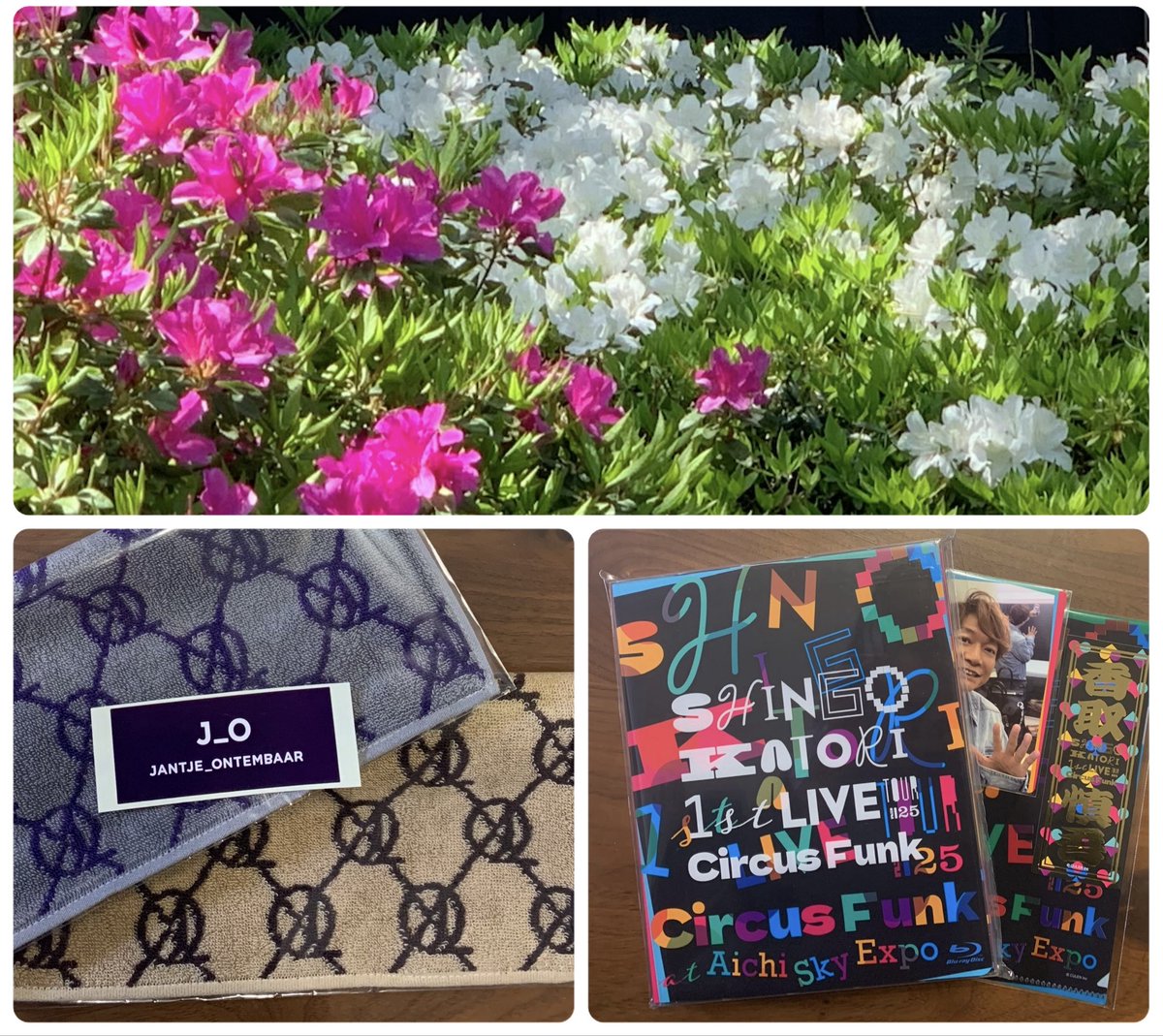 りこ　（smile⭐5） tweet media