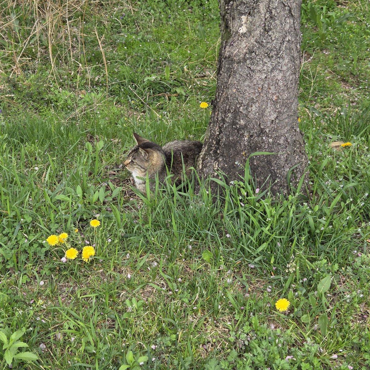 유기농멍청이 tweet media