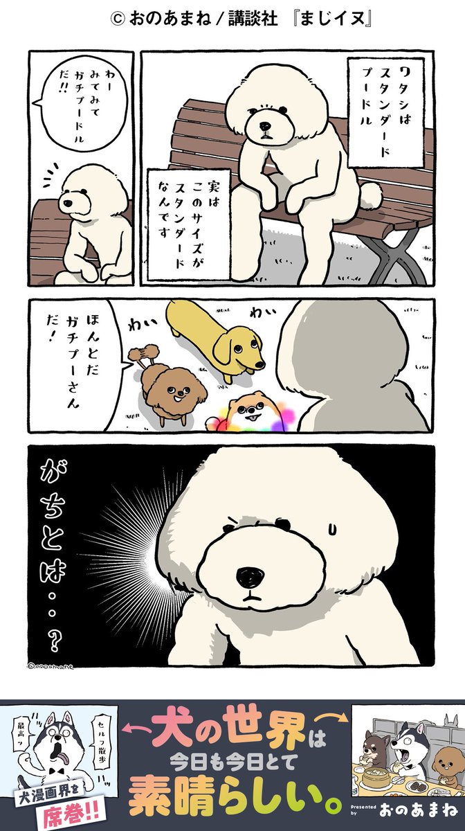 majiinu_wm's tweet photo. 犬の日常あるある