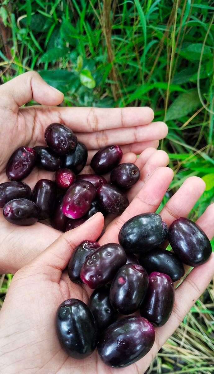 Eat Simple tweet media