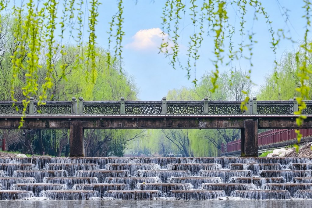 吃笋喝茶（互fo） tweet media