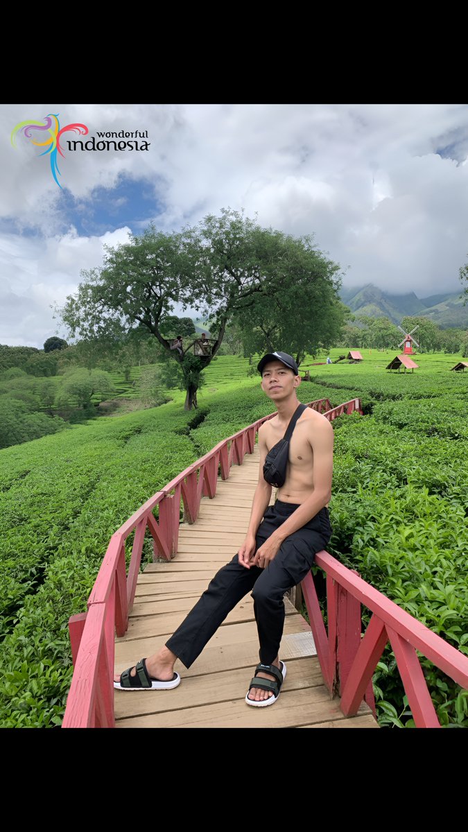 Zeirnovz Adventure tweet media