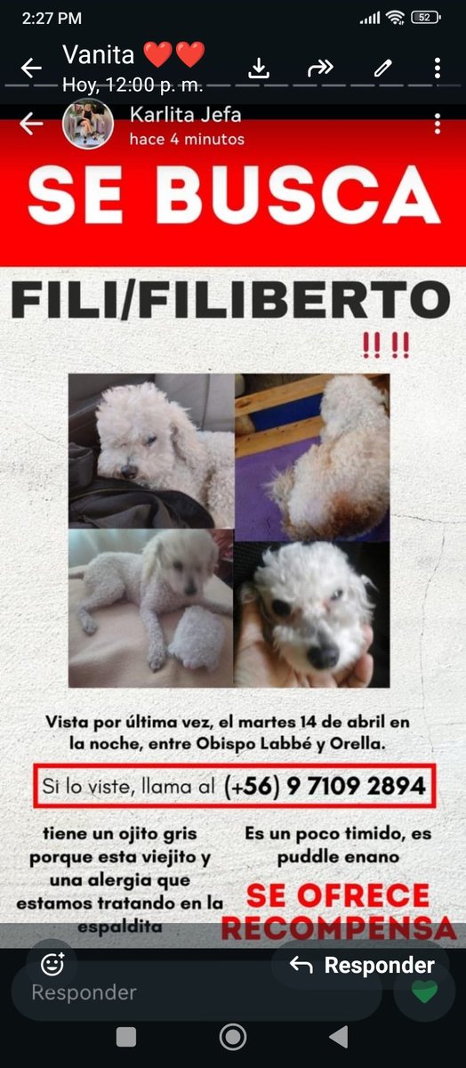 vicu_queña tweet media