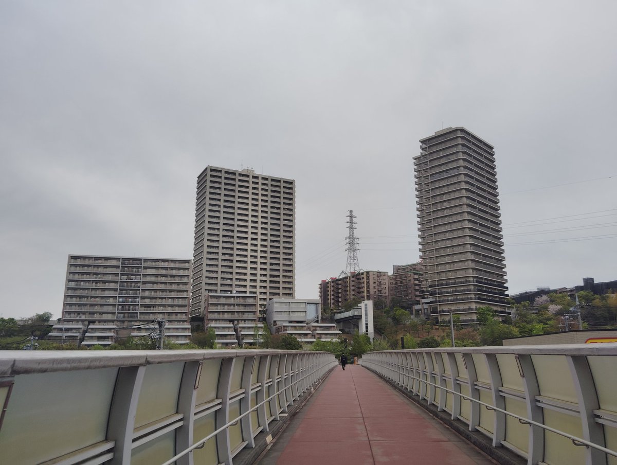 Geoken_TMU_n's tweet photo. 13日と16日は、2回に分けて南大沢巡検を実施しました！
多摩ニュータウン開発の経緯や、ニュータウンの中でも後発となった南大沢周辺の街の欧風な景観や、起伏に富み自然豊かな住環境について知ることができたと思います！✨️
平日夕方の開催ながら、多くの新入生が参加してくれました！👣 https://t.co/RkM4q2Mu3K