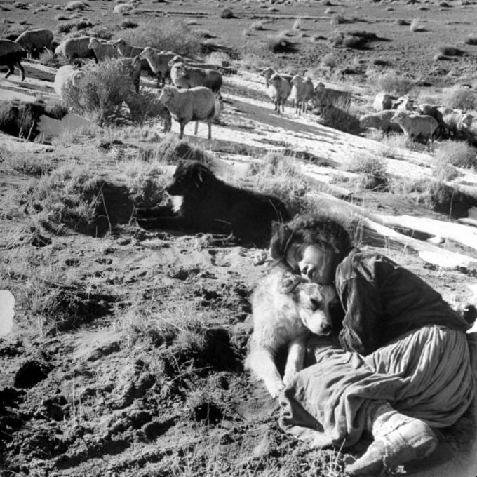 Archaeo - Histories tweet media