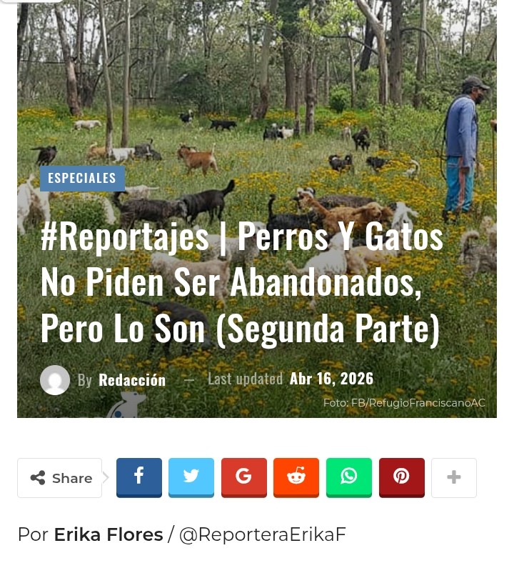 Erika Flores tweet media