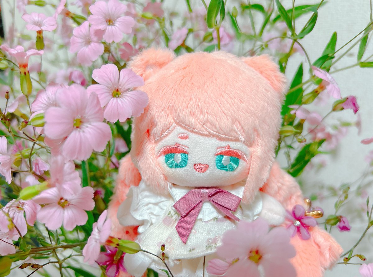 mo_murida_yo's tweet photo. 草かすみ草🌸 https://t.co/0fqkUZQGPl