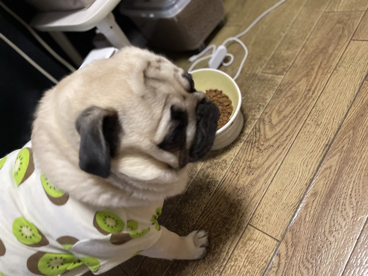 ゆず胡椒 tweet media