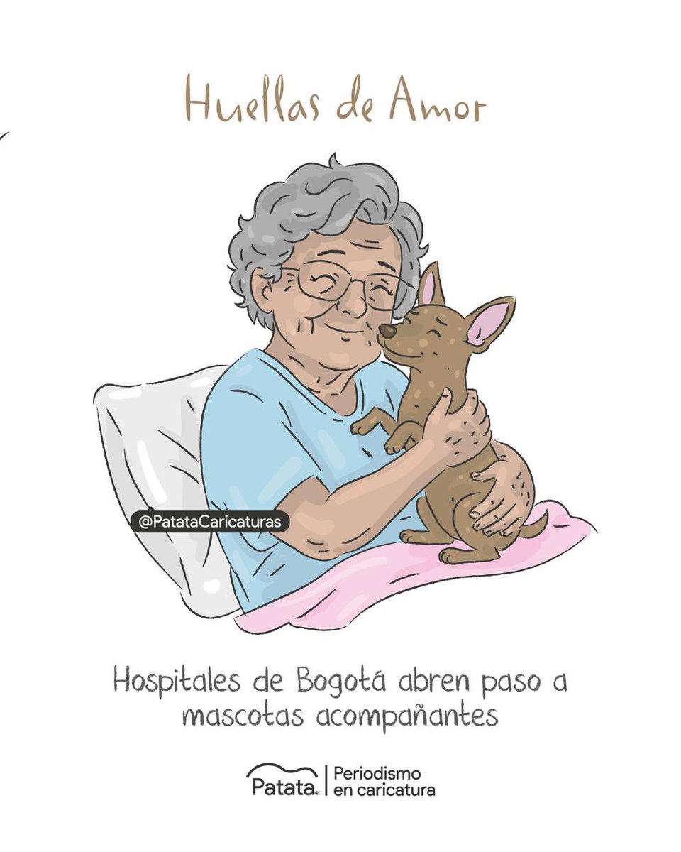 PATATAdibujo's tweet photo. 🐾❤️‍🩹 Hospitales de localidades de Bogotá permiten mascotas acompañantes. 
🧵 https://t.co/q0mPLm084b