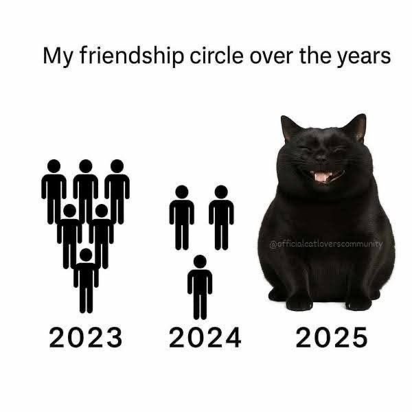 Black cats are not bad luck tweet media