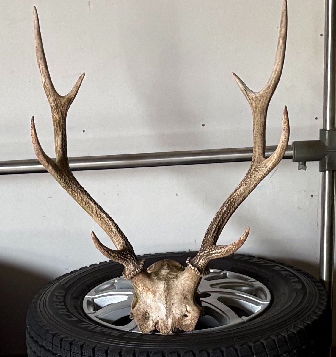 チャイ tweet media