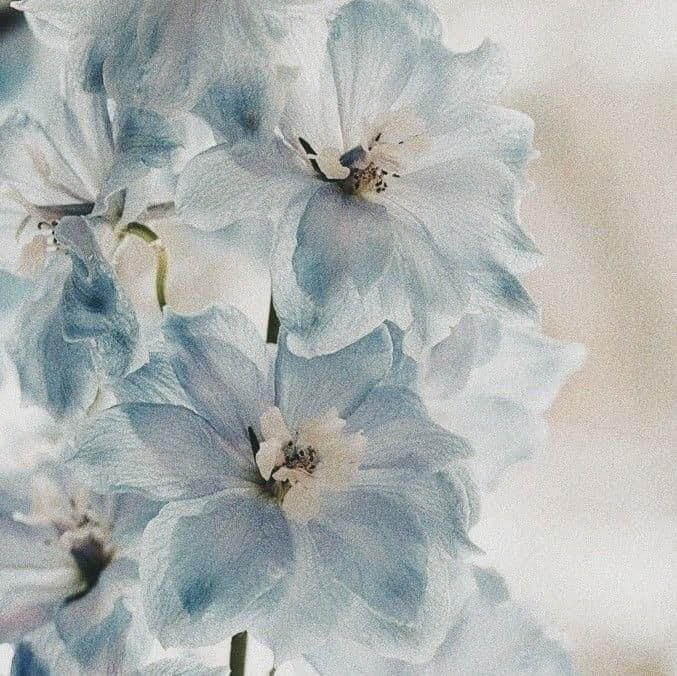 larz ⭑ tweet media