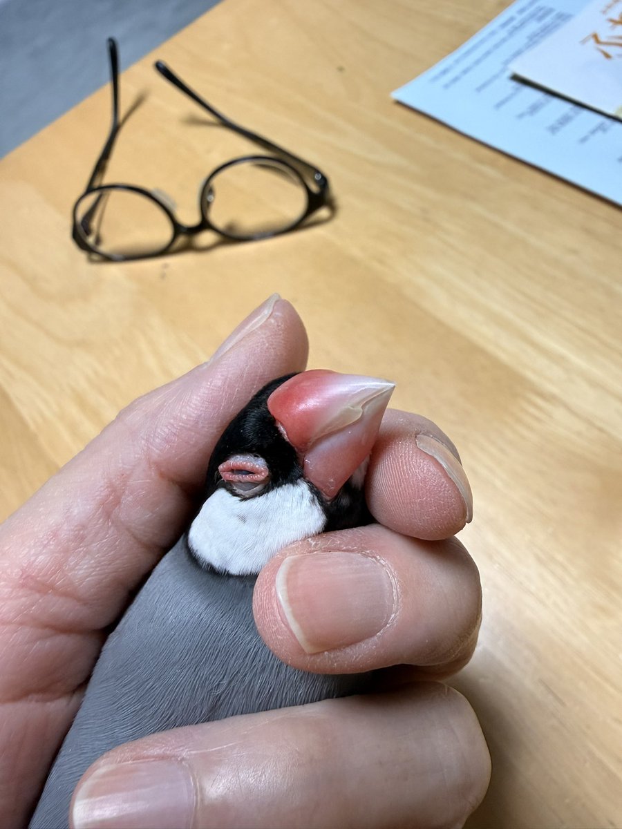 ぶんちゃんは
いっつも可愛い♡♡