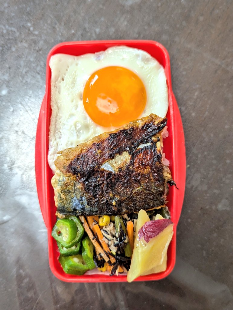 鯖のカレー焼き弁当（焦げた）