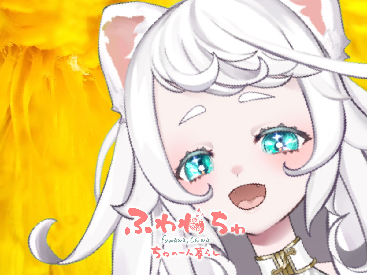 ふわわ ちゎ@Vtuber白いタヌキ tweet media