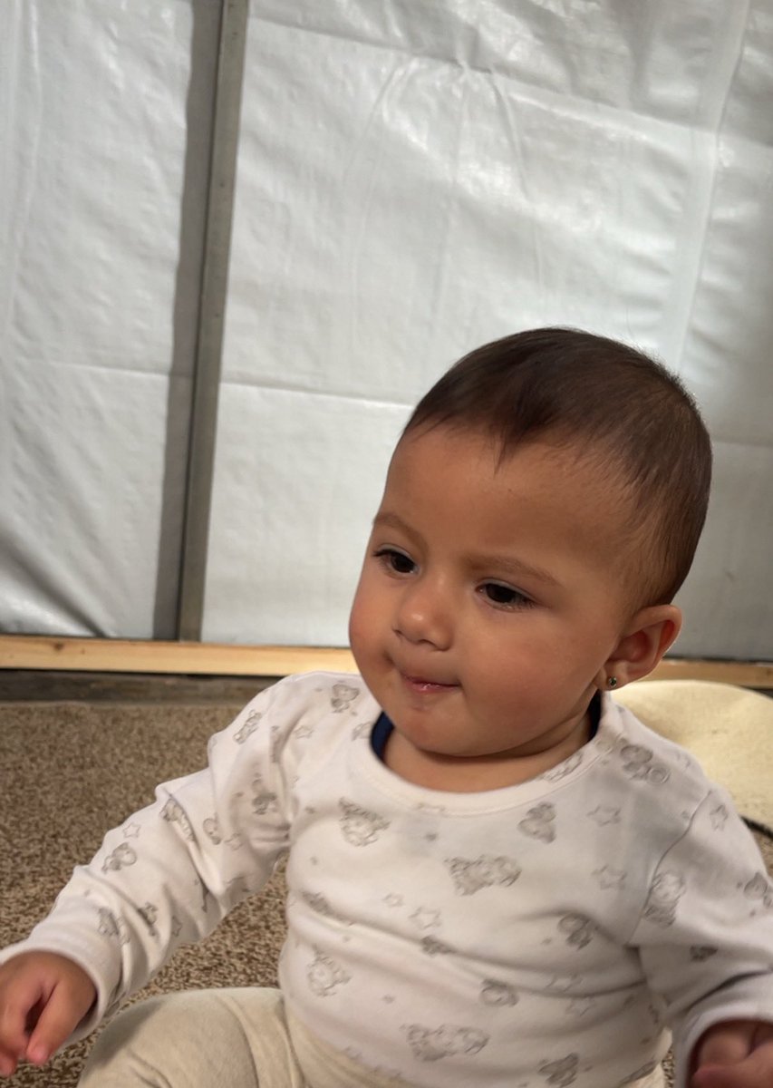 Nebal Nebal tweet media