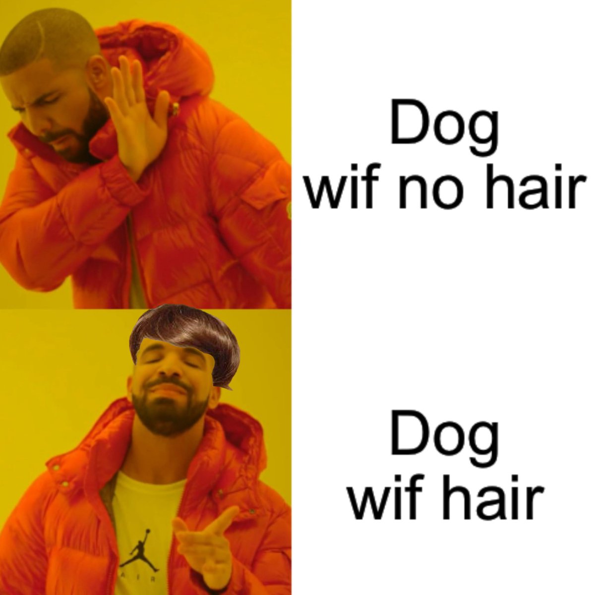 dogwifhair's tweet image. Obviously, a dog wif hair is much better than a dog wif no hair! $WIF #dogwifhair #bscgems