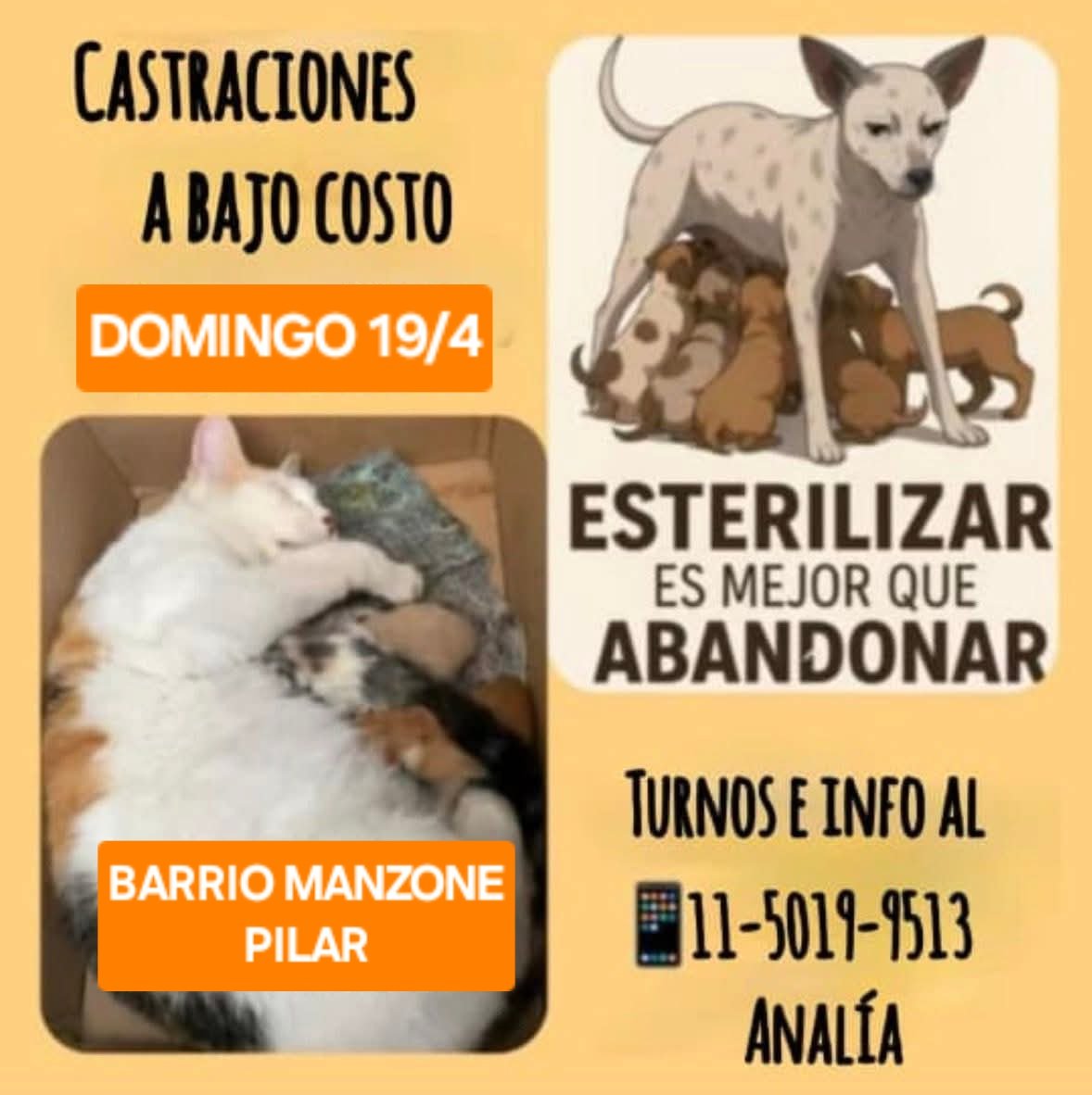 protegealanimal's tweet image. PILAR
#PILAR #BARRIOMANZONE #MANUELALBERTI #ALBERTI #BARRIOSOLARESDELNORTE #BARRIOSANALEJO #BARRIOFALCÓN #VILLAASTOLFI #ASTOLFI #DELVISO #FÁTIMA #PRESIDENTEDERQUI #DERQUI #ZELAYA #VILLAROSA #LAGOMARSINO #BARRIOELMANZANAR #ZONANORTE #GRANBSAS #BSAS #BUENOSAIRES